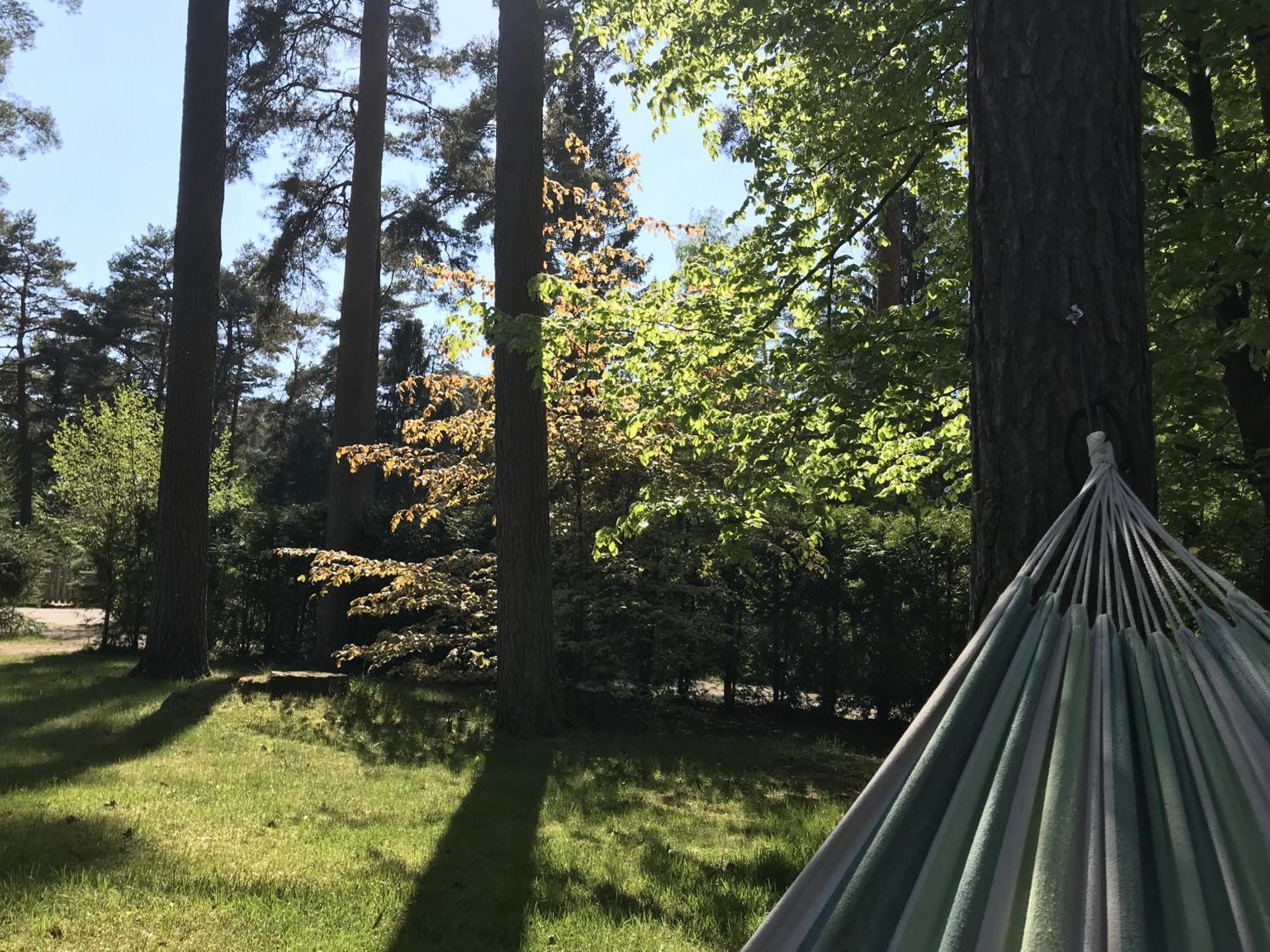 Nordic Relax House - Woodhouse Villa Sjöbo Екстериор снимка