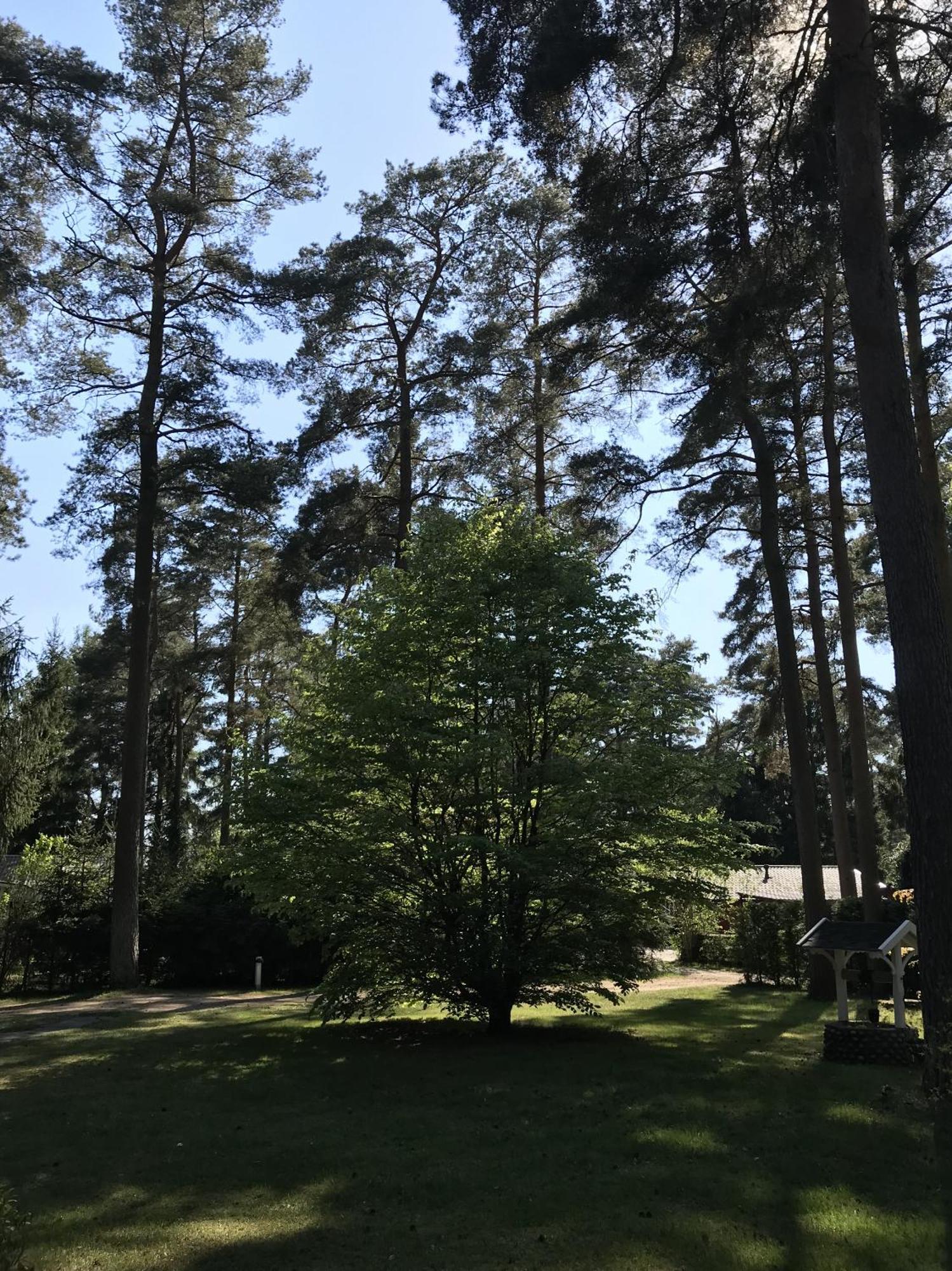 Nordic Relax House - Woodhouse Villa Sjöbo Екстериор снимка